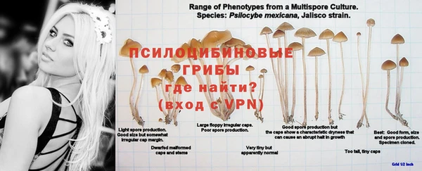 винт Беломорск